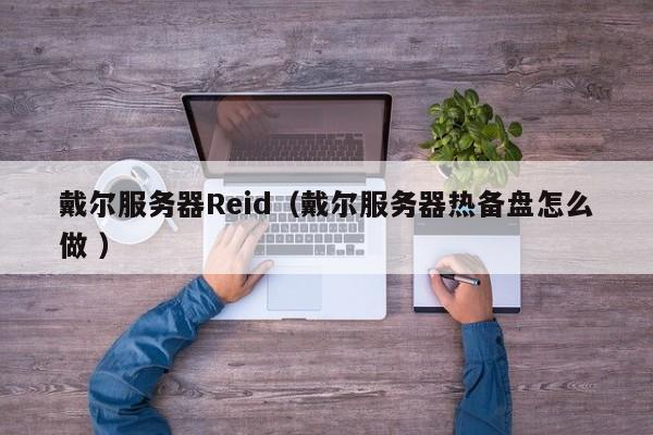 戴爾服務(wù)器Reid(戴爾服務(wù)器熱備盤怎么做 )
